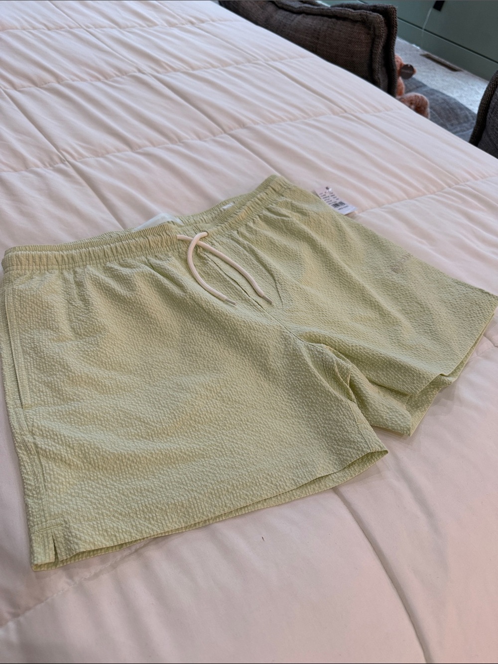 PacSun Light Green Seersucker Drawstring Athletic Shorts
